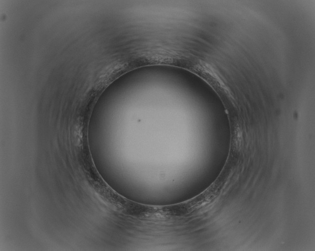 X0000089660259200707121206