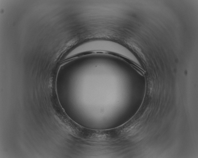 X0000089660260200707121206