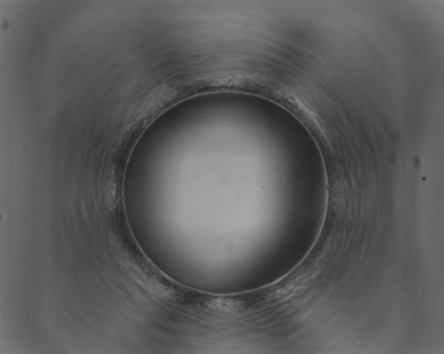 X0000089660261200707121206