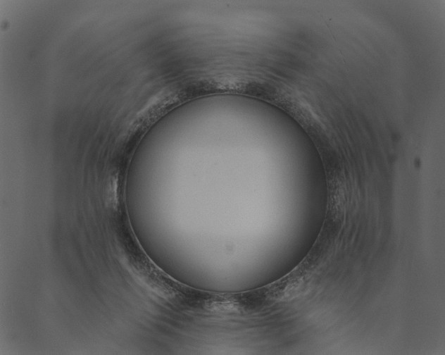 X0000089660262200707121206