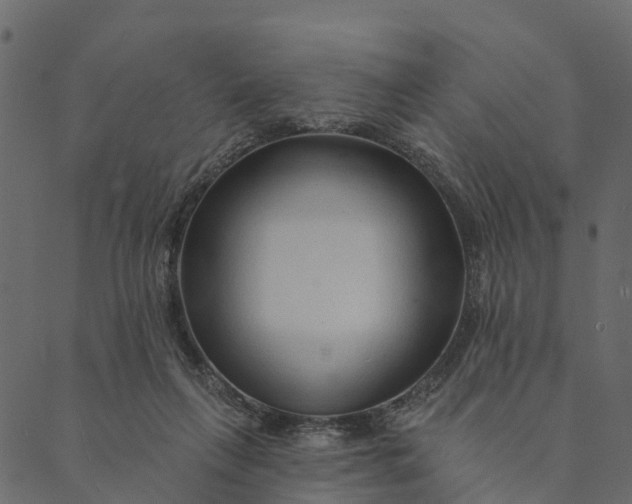 X0000089660263200707121206