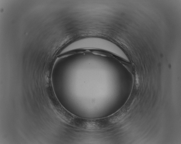 X0000089660264200707121206