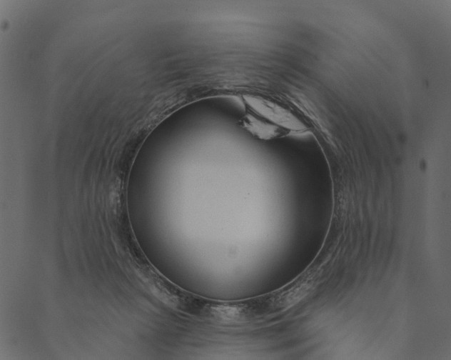 X0000089660265200707121206