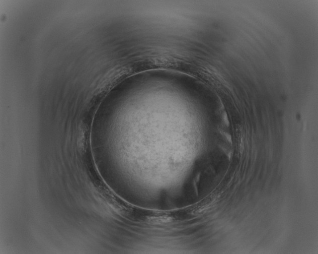 X0000089660266200707121206