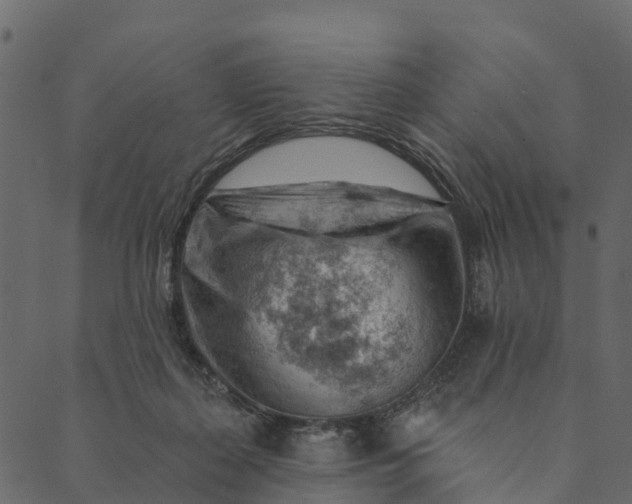 X0000089660267200707121206