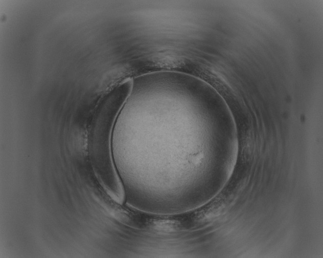 X0000089660268200707121206