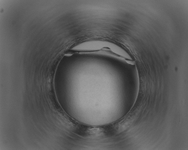 X0000089660269200707121206