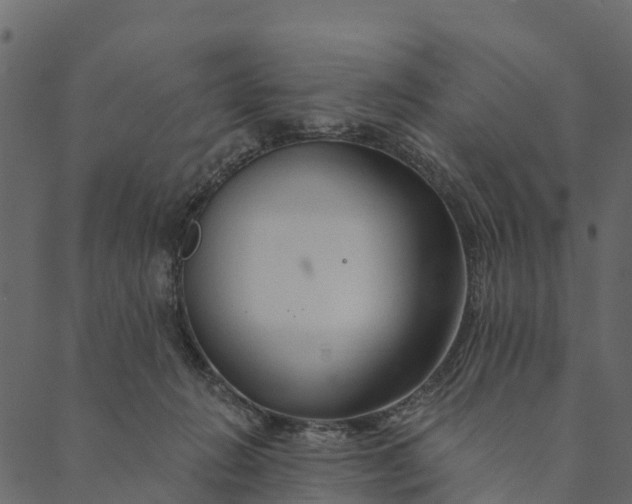 X0000089660270200707121206