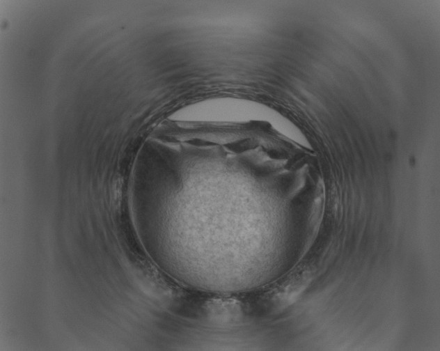 X0000089660271200707121206