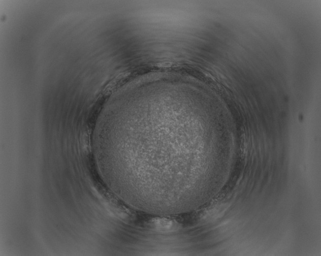 X0000089660272200707121206