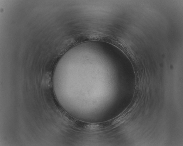 X0000089660273200707121206