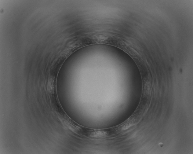 X0000089660274200707121206