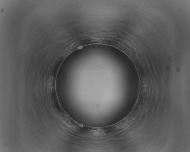 X0000089660275200707121206