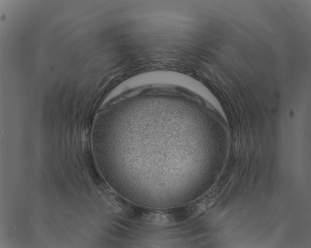 X0000089660276200707121206