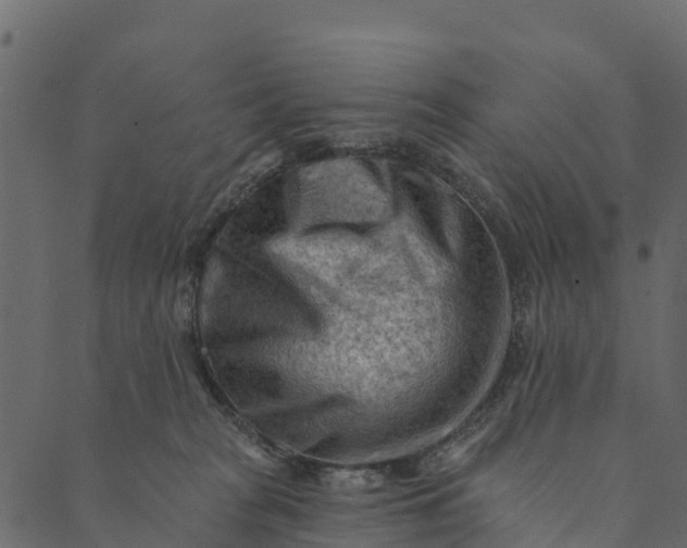 X0000089660277200707121206