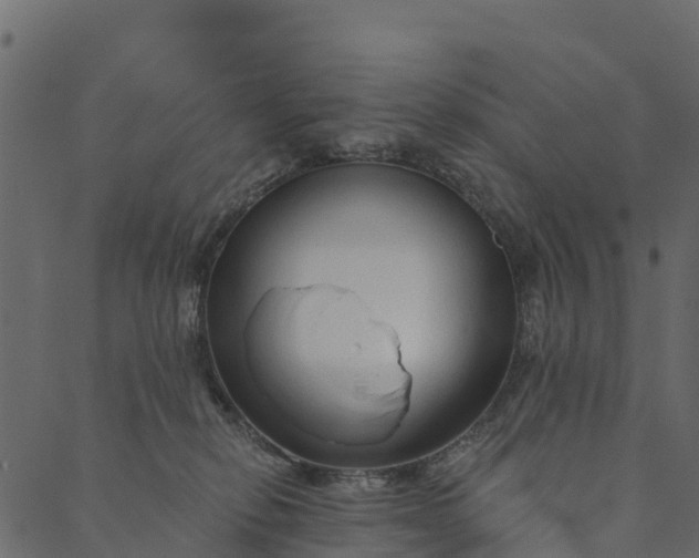 X0000089660278200707121206