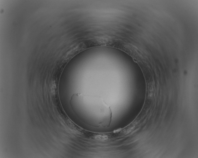 X0000089660279200707121206