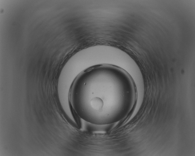 X0000089660280200707121206