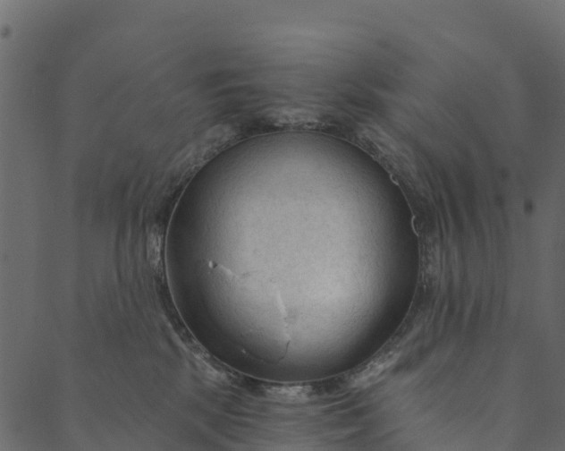 X0000089660281200707121206