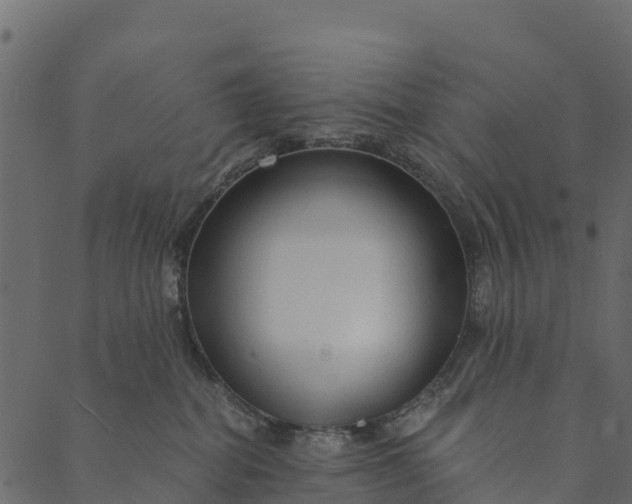 X0000089660282200707121206