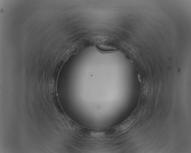 X0000089660283200707121206