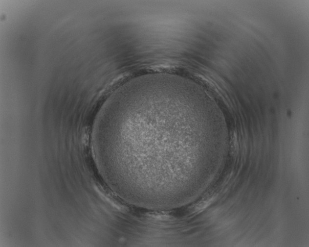 X0000089660284200707121206