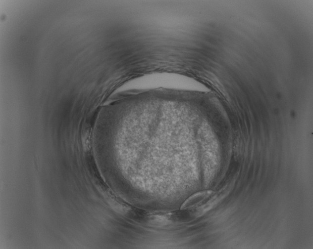 X0000089660285200707121206