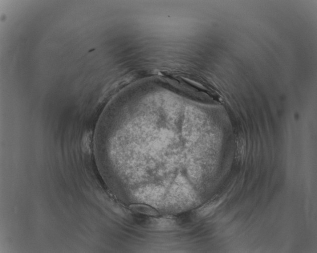 X0000089660286200707121206