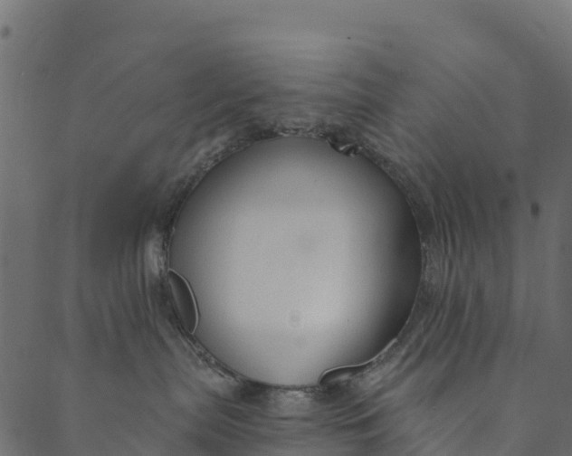 X0000089660287200707121206