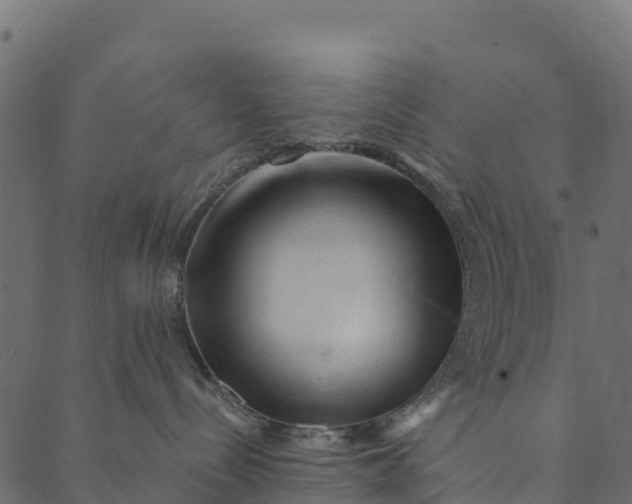 X0000089660288200707121206