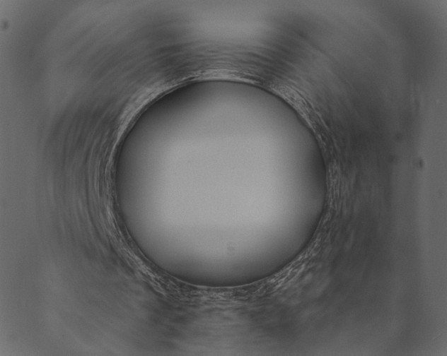 X0000089660289200707121206