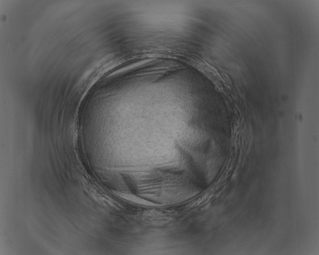 X0000089660290200707121206