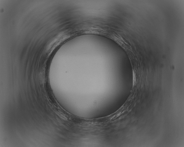 X0000089660291200707121206