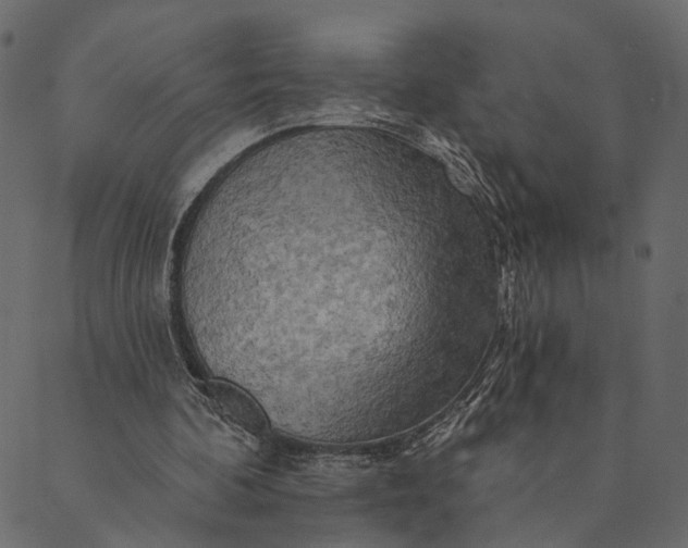 X0000089660292200707121206