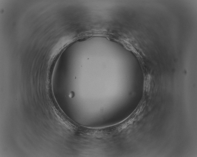 X0000089660293200707121206