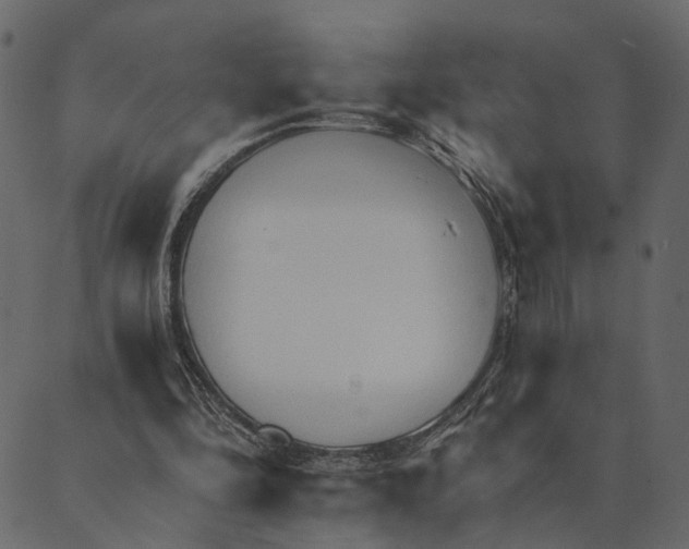 X0000089660294200707121206