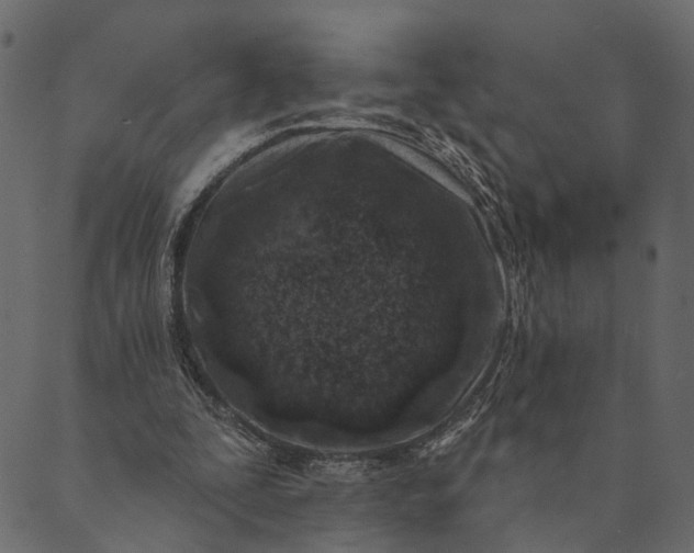 X0000089660295200707121206