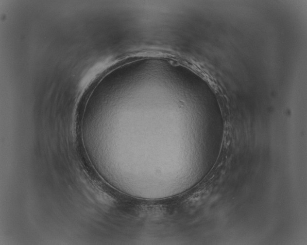 X0000089660296200707121206