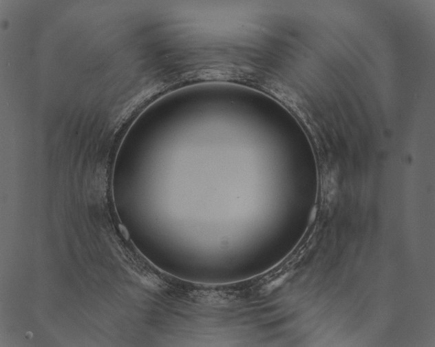 X0000089660297200707121206