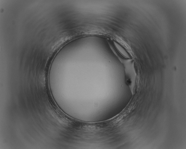 X0000089660298200707121206