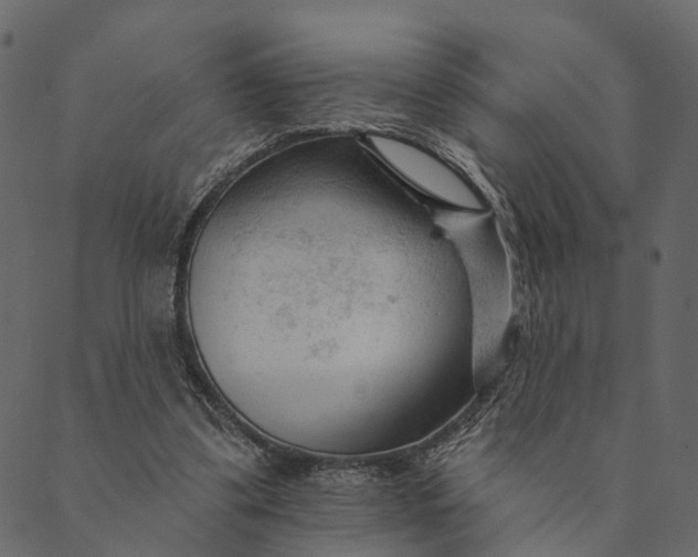 X0000089660299200707121206