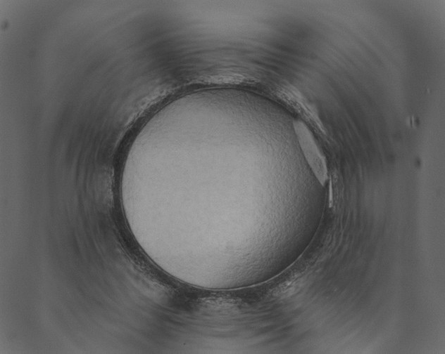 X0000089660300200707121206