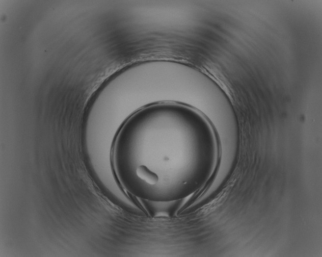 X0000089660301200707121205