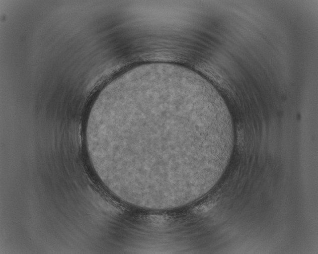 X0000089660302200707121205