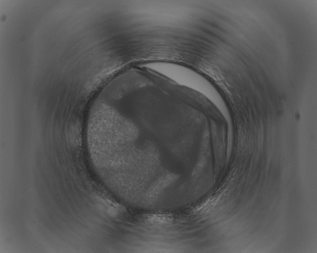 X0000089660303200707121205