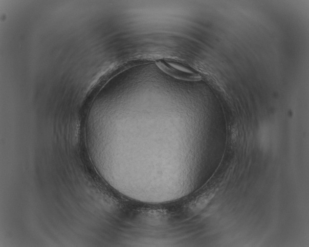 X0000089660304200707121205