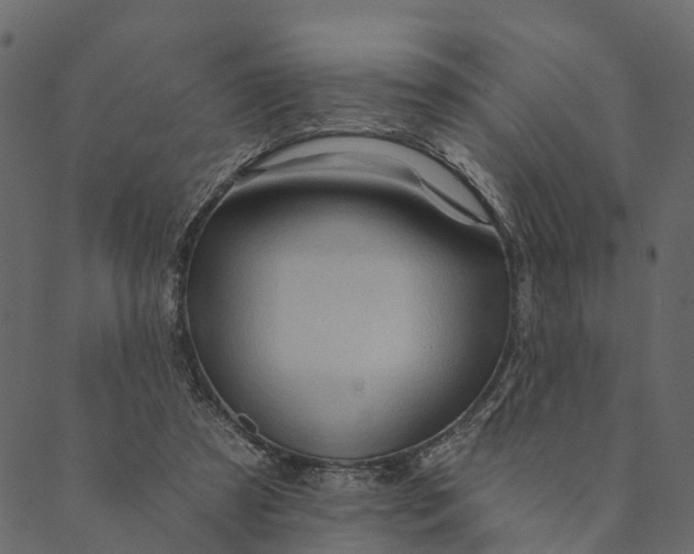 X0000089660305200707121205