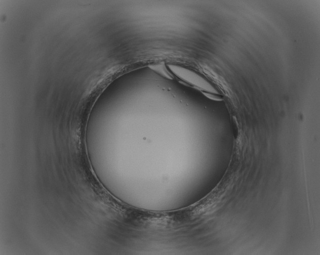 X0000089660306200707121205