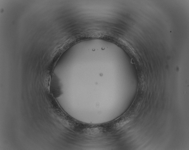 X0000089660307200707121205