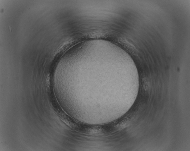 X0000089660308200707121205